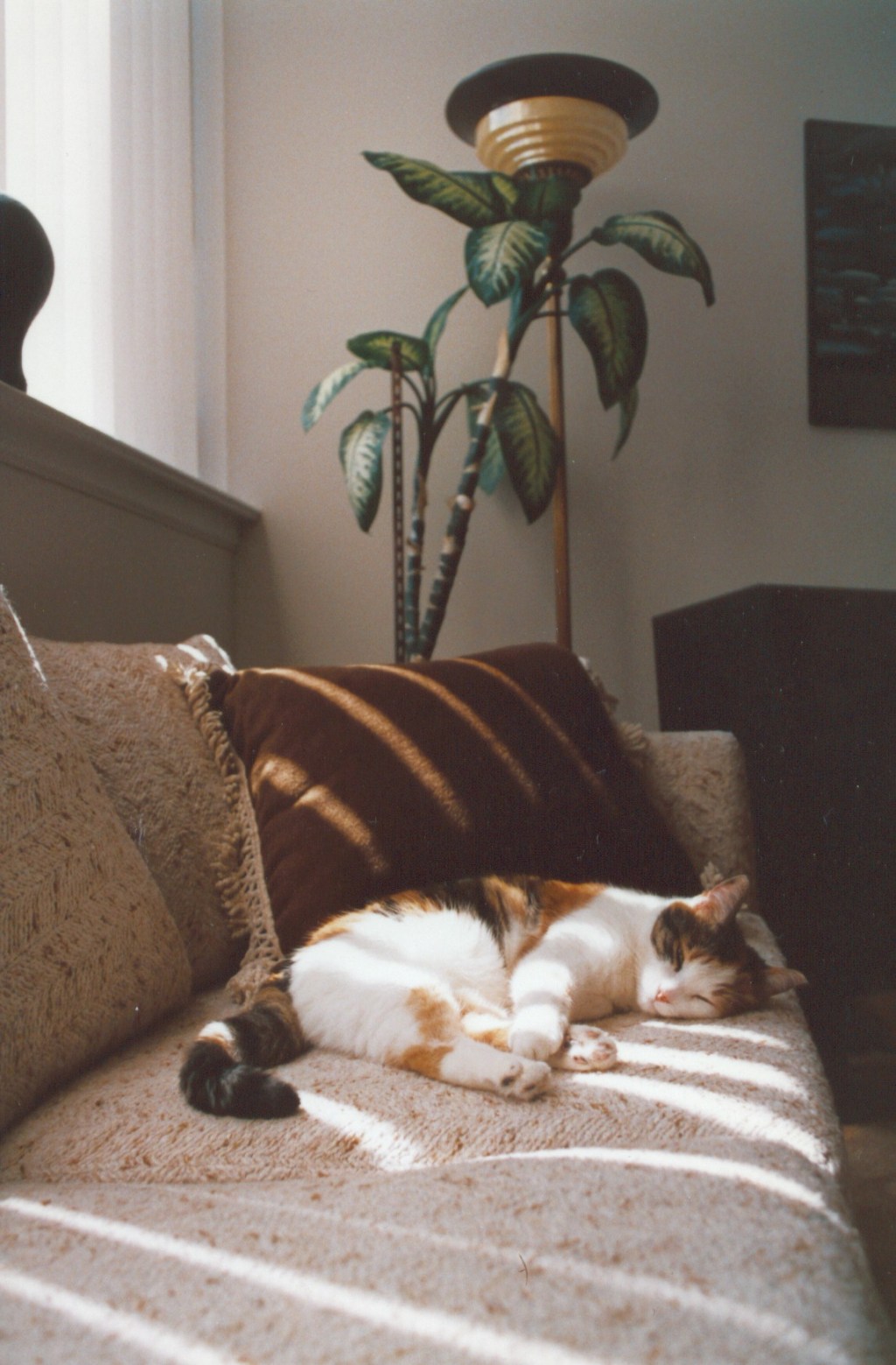 Sun Beams – 5&nbsp;images